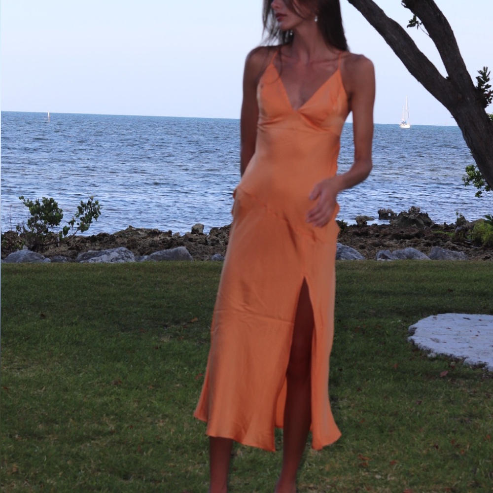 Peppermayo Orange Midi Dress - Picture 3 of 3